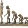 Beeld Evolutie Mensheid - Resin - Aap Evolutie - 25.8 Cm Hoog -Trendybywave 1200x1031