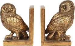 Boekensteunen Set Van 2 Uil 12*8*16 Cm Goudkleurig Kunststof Boekenhouders Boekensteun