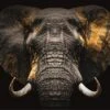 120 X 80 Cm - Glasschilderij - Olifant Goud - Foto Print Op Glas -Trendybywave 1200x799 2