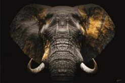 120 X 80 Cm - Glasschilderij - Olifant Goud - Foto Print Op Glas