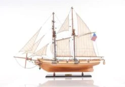 Houten Schip - Schaalmodel - The ''HARVEY'' - Miniatuur - 83 Cm Breed